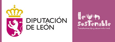 Copa Diputación de León de Carrera Populares